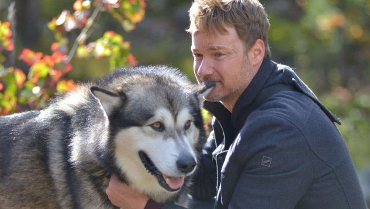 Sinopsis y reparto de Sobreviviendo el camino a casa película Netflix