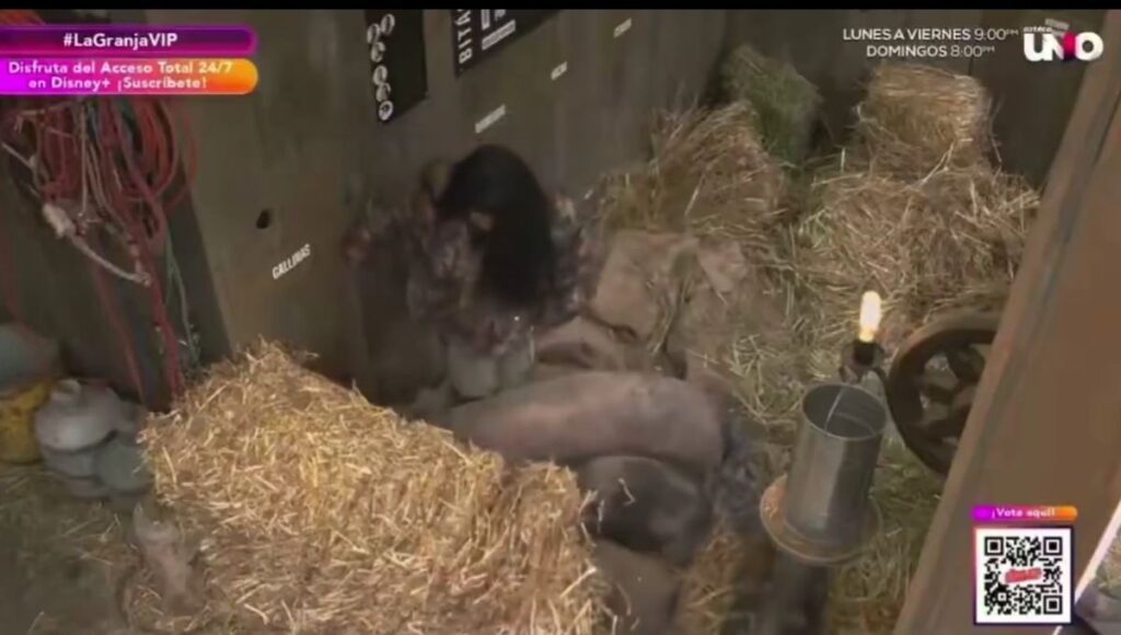 Acusan a Bea y Teo de maltratar a los animales en La Granja VIP