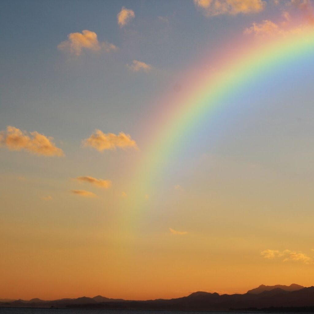 cual es el horoscopo de mhoni vidente hoy 23 de diciembre