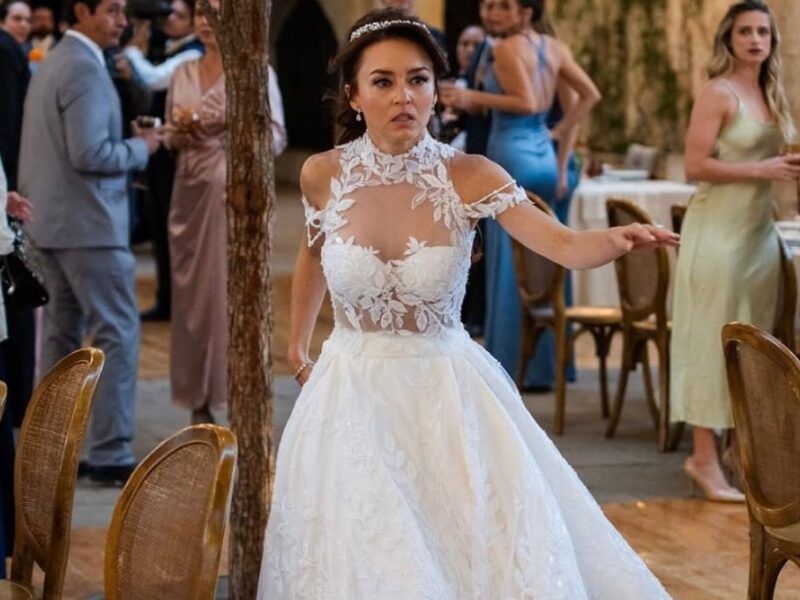 quién es quién en la telenovela Doménica Montero