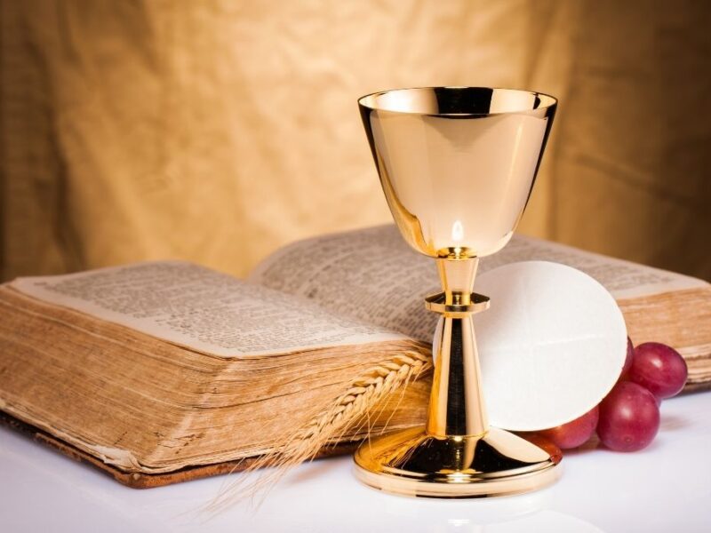 Evangelio de hoy viernes 19 diciembre 2025 salmo y lecturas