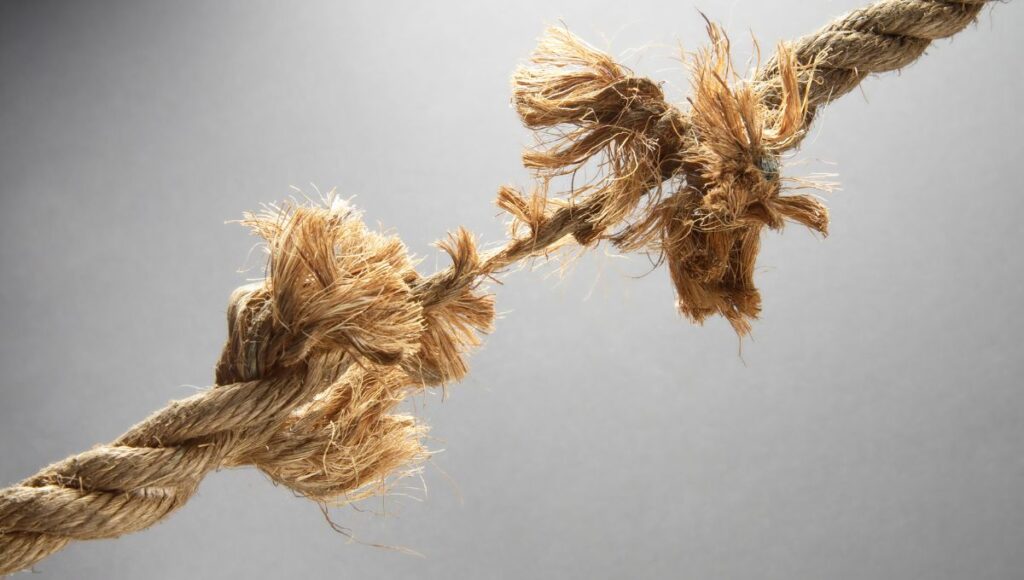 Qué dice el horóscopo de Mizada Mohamed del 29 de diciembre