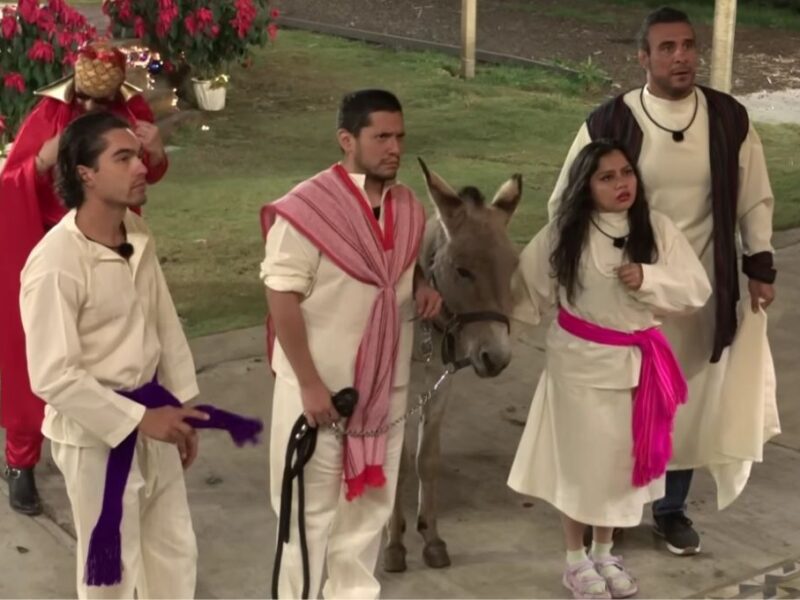 La Granja VIP van las votaciones hoy 14 de diciembre