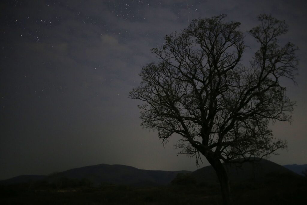 Lluvia de estrellas Gemínidas 2025 horarios en México y cómo ver en vivo hoy