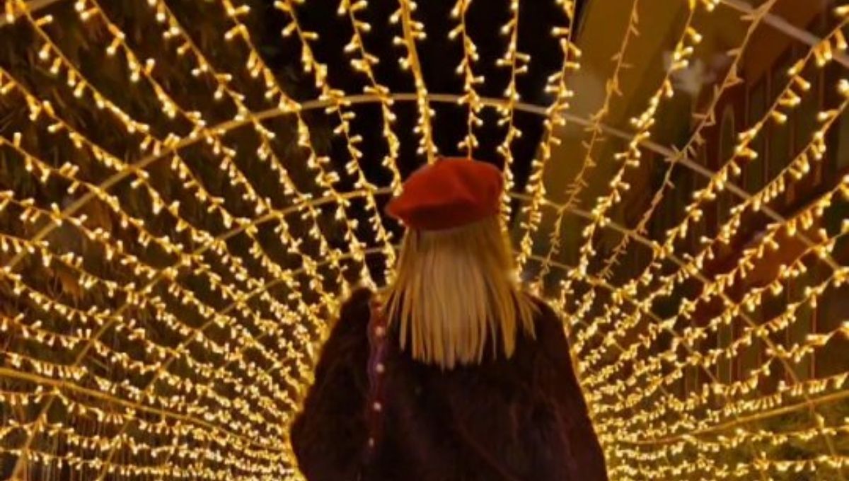 Destinos cerca de CDMX para ver luces navideñas