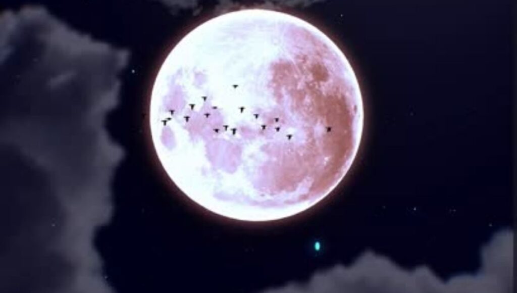 Luna Fría 2025 significado espiritual y rituales