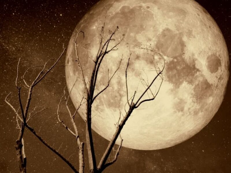 Luna Fría 2025 significado espiritual y rituales