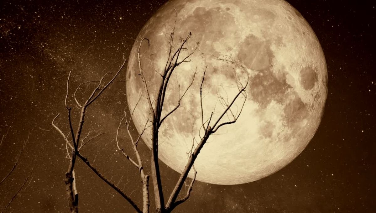 Luna Fría 2025 significado espiritual y rituales