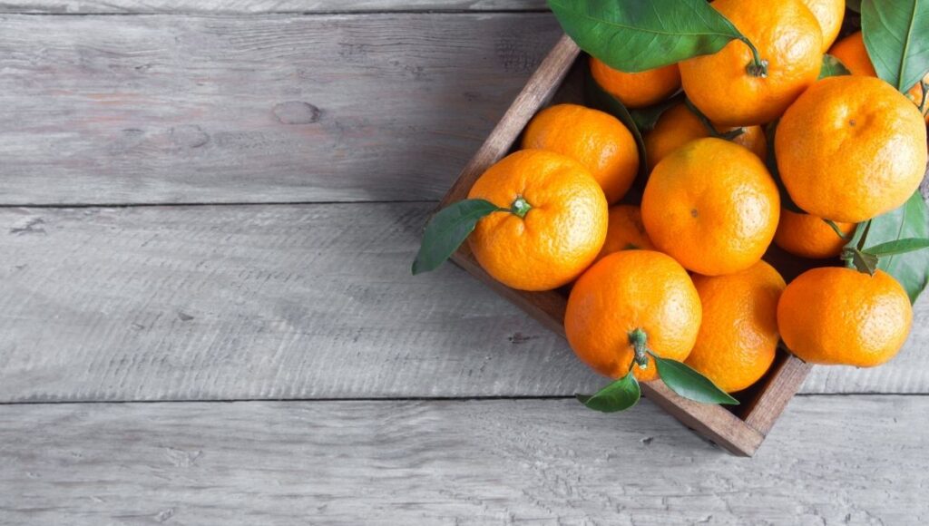 martes de frescura ofertas 23 de diciembre