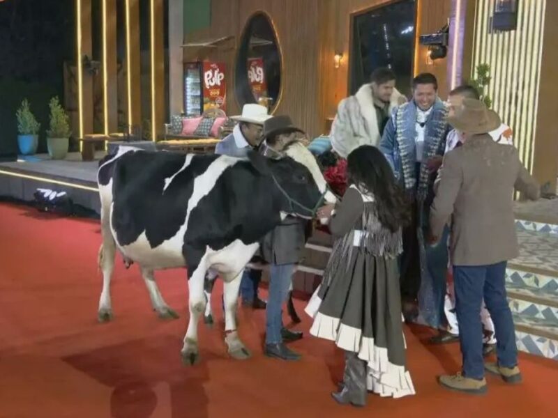 que pasara con los animales de la granja vip