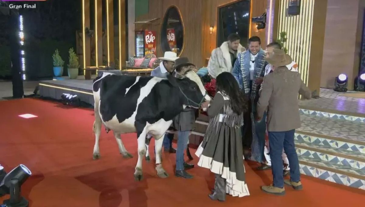 que pasara con los animales de la granja vip