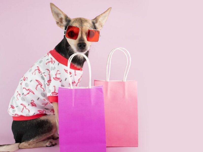 Qué se celebra hoy 14 de enero