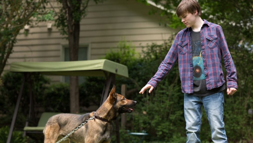 De qué trata y dónde ver Max la película de Netflix