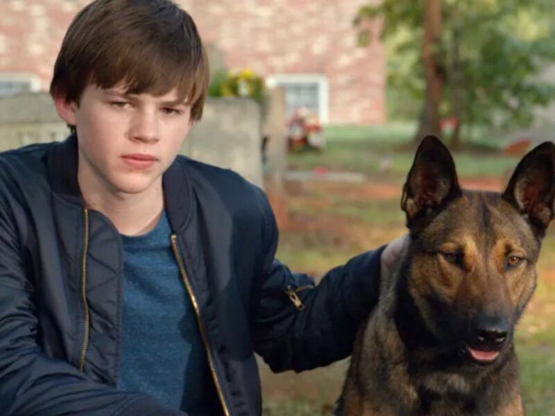 De qué trata y dónde ver Max la película de Netflix