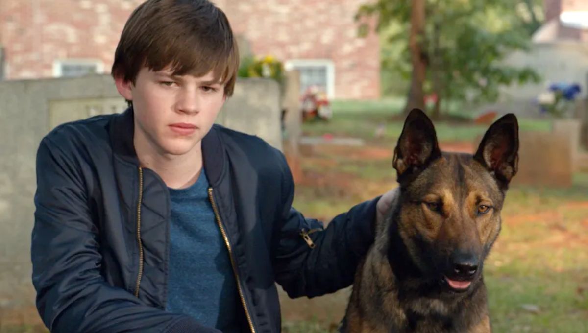 De qué trata y dónde ver Max la película de Netflix