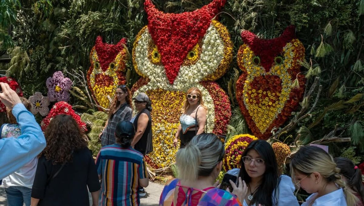 Fechas y sedes del Festival de Flores y Jardines en Polanco 2026