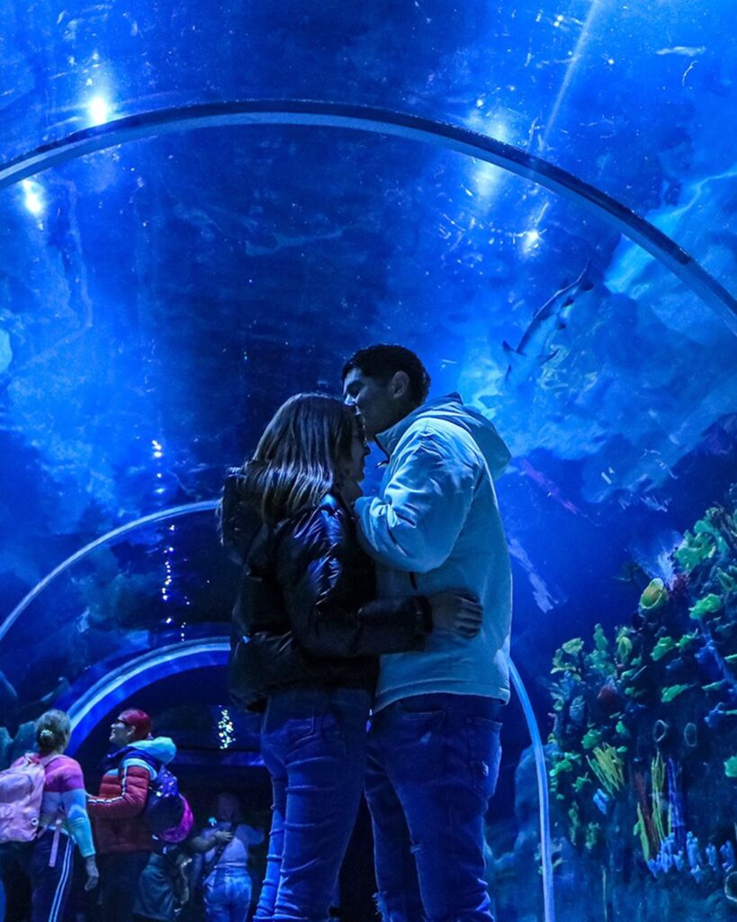 Planes para hacer en la CDMX hoy lunes 2 de febrero 2026