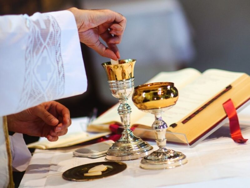 Evangelio, salmo y lecturas de hoy 11 de enero 2026