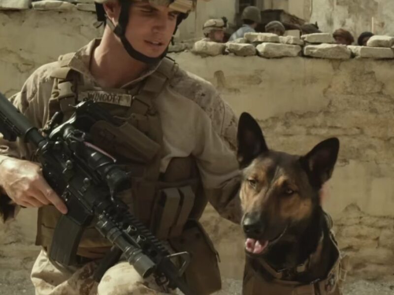 Final explicado de Max