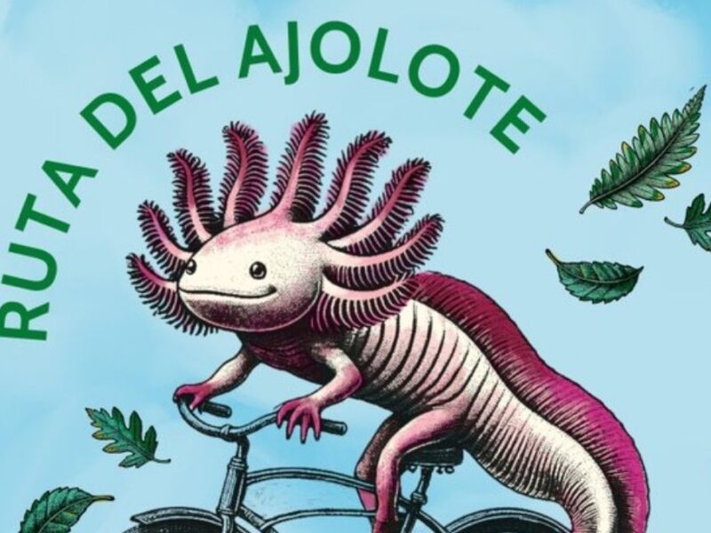 Ruta del Ajolote 2026