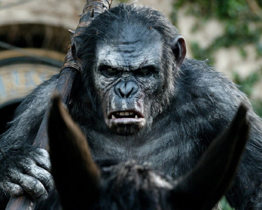 La trágica historia Koba en El Planeta de los Simios