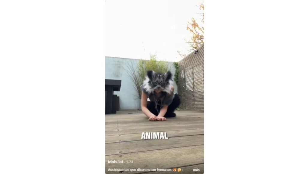 Therians la identidad animal que es tendencia en redes