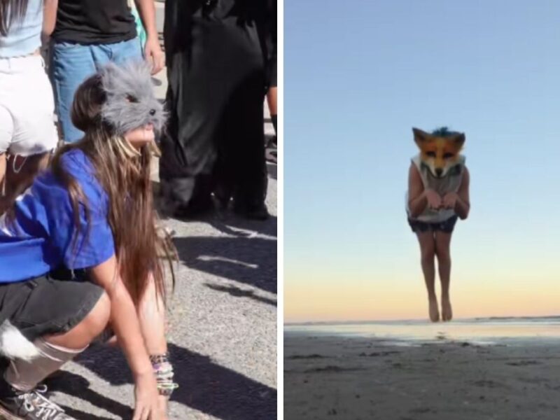 Therians el fenómeno de identidad animal que es tendencia en redes sociales