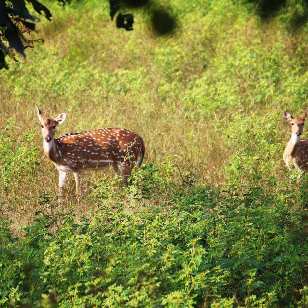 efemerides 3 de marzo