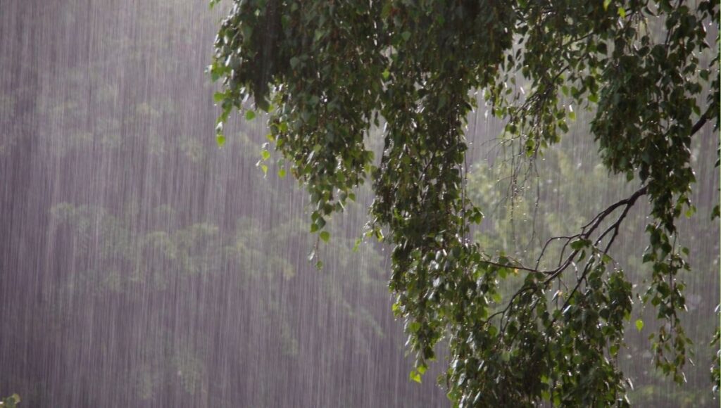 evento pluvial carniano que fue