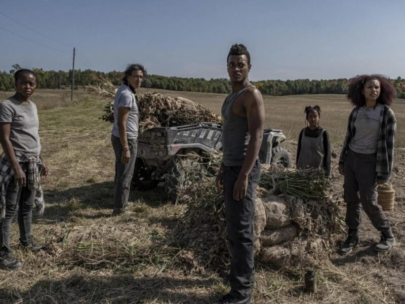 ¿Qué pasó realmente con la granja de los Freeman en 40 Acres?