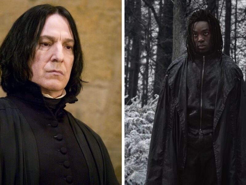 Así es la descripción real de Severus Snape en los libros