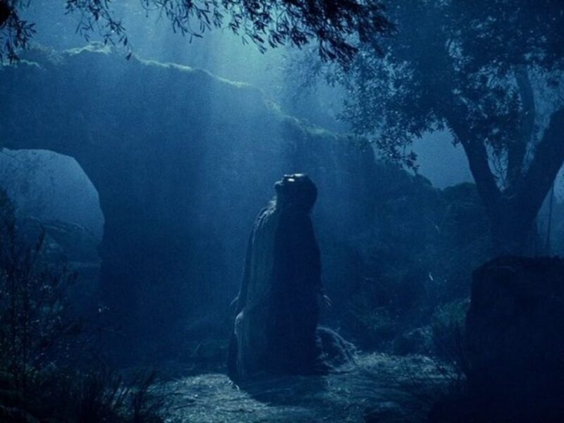 Lo que sabemos de Resurrección