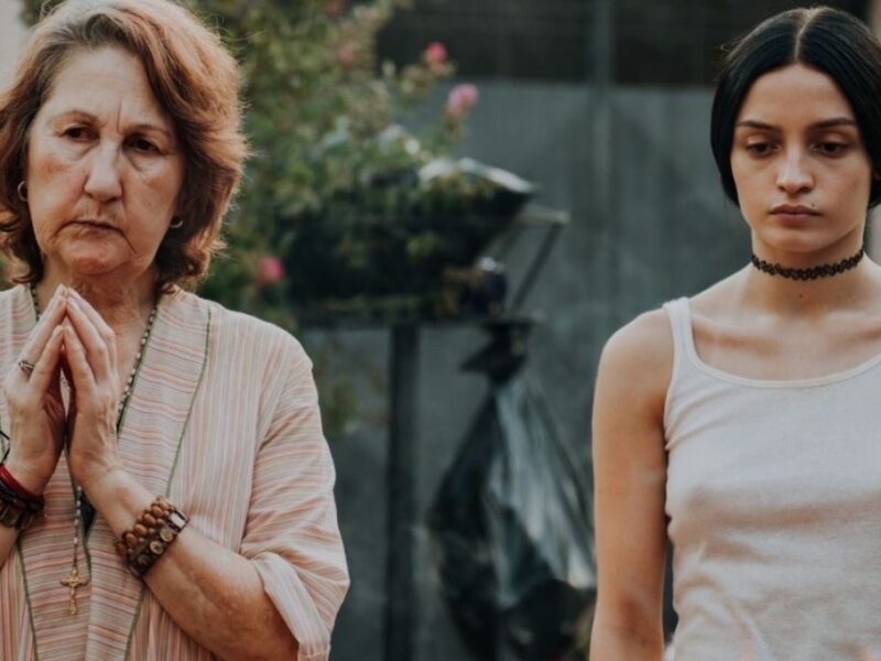 La virgen de la tosquera en Max de qué trata