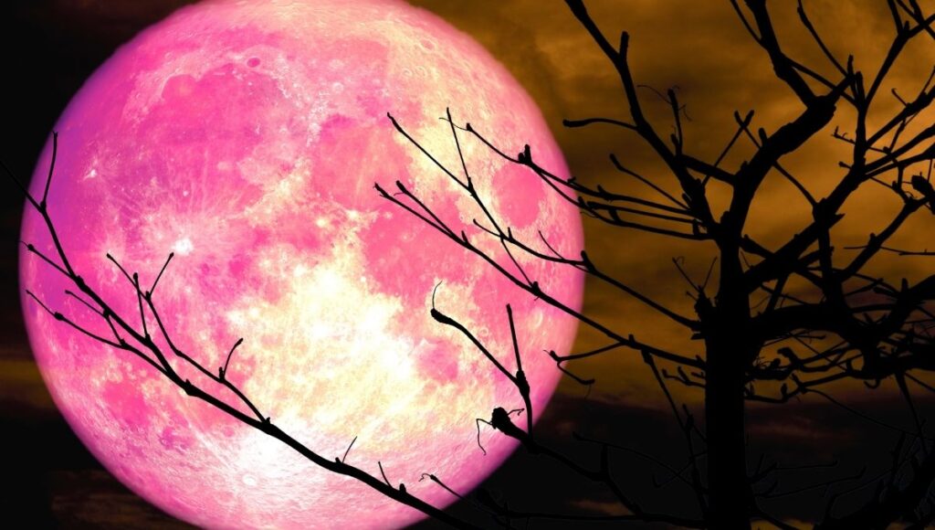 Qué es la Luna Rosa de abril 2026