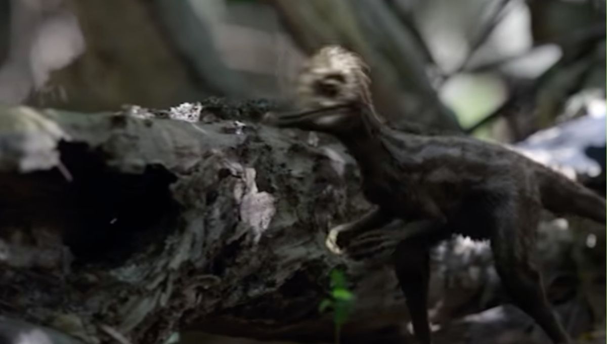 que es el marasuchs de la serie dinosaurios de netflix