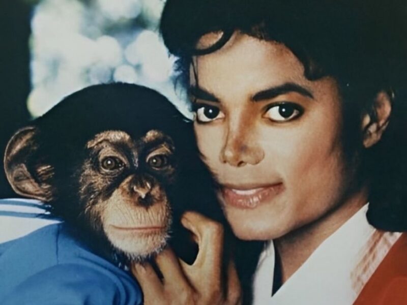 ¿Sigue vivo Bubbles chimpancé de Michael Jackson?
