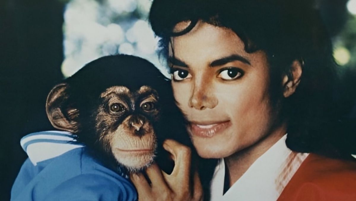 ¿Sigue vivo Bubbles chimpancé de Michael Jackson?