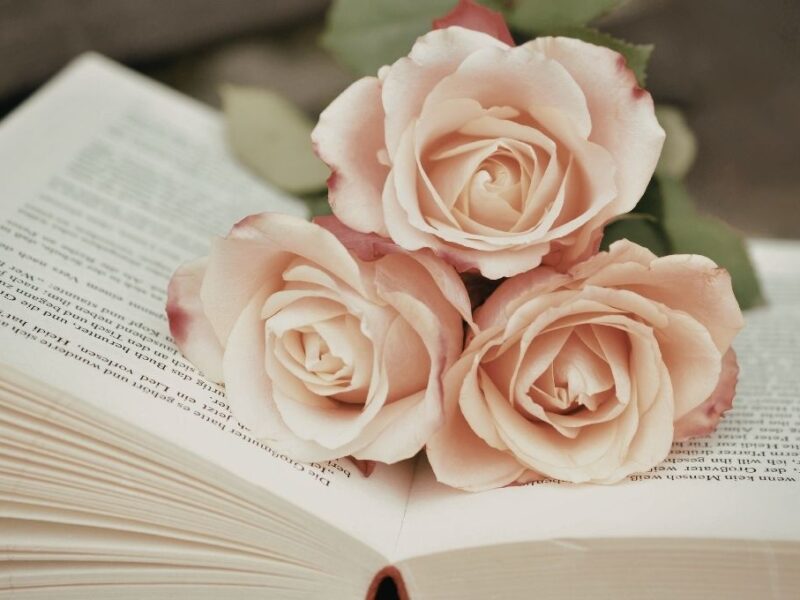 Día del Libro por qué se regalan libros y rosas hoy 23 de abril