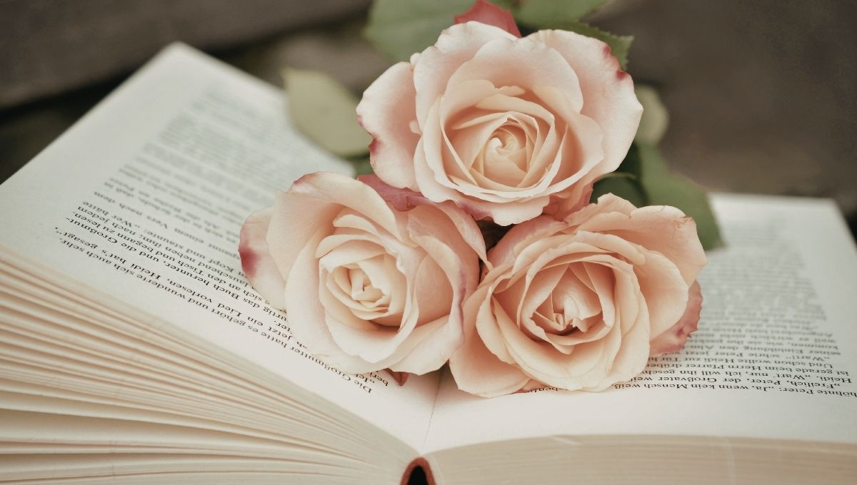 Día del Libro por qué se regalan libros y rosas hoy 23 de abril