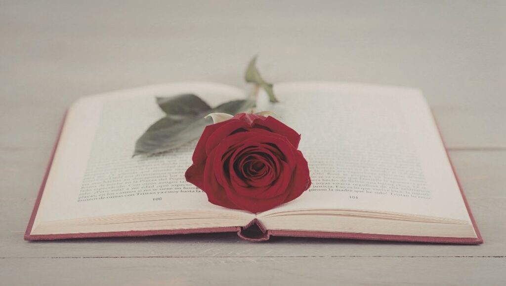 Día del Libro por qué se regalan libros y rosas hoy 23 de abril