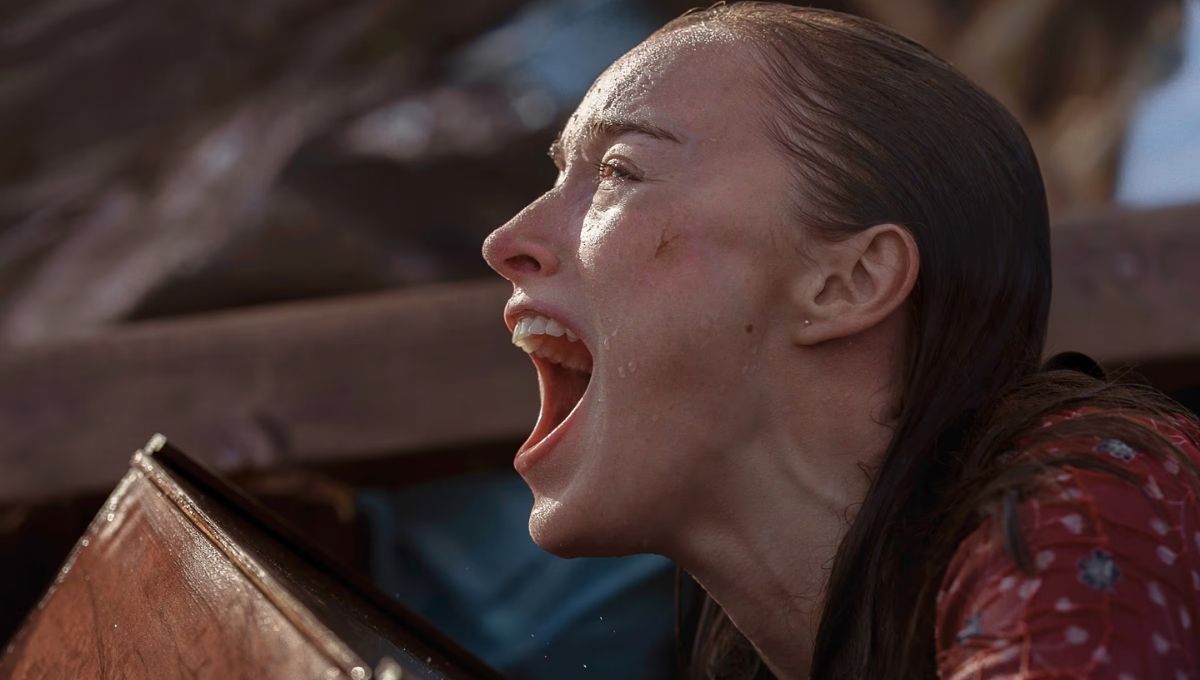 final explicado embestida