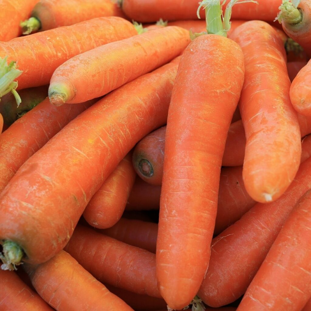 martes y miercoles del campo soriana 7 y 8 de abril