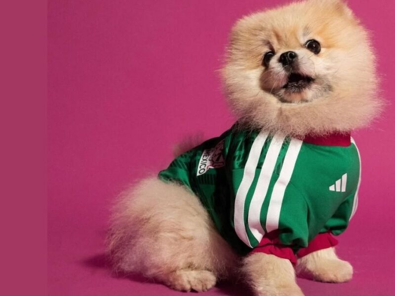 precio y tallas del jersey adidas de mexico para mascotas