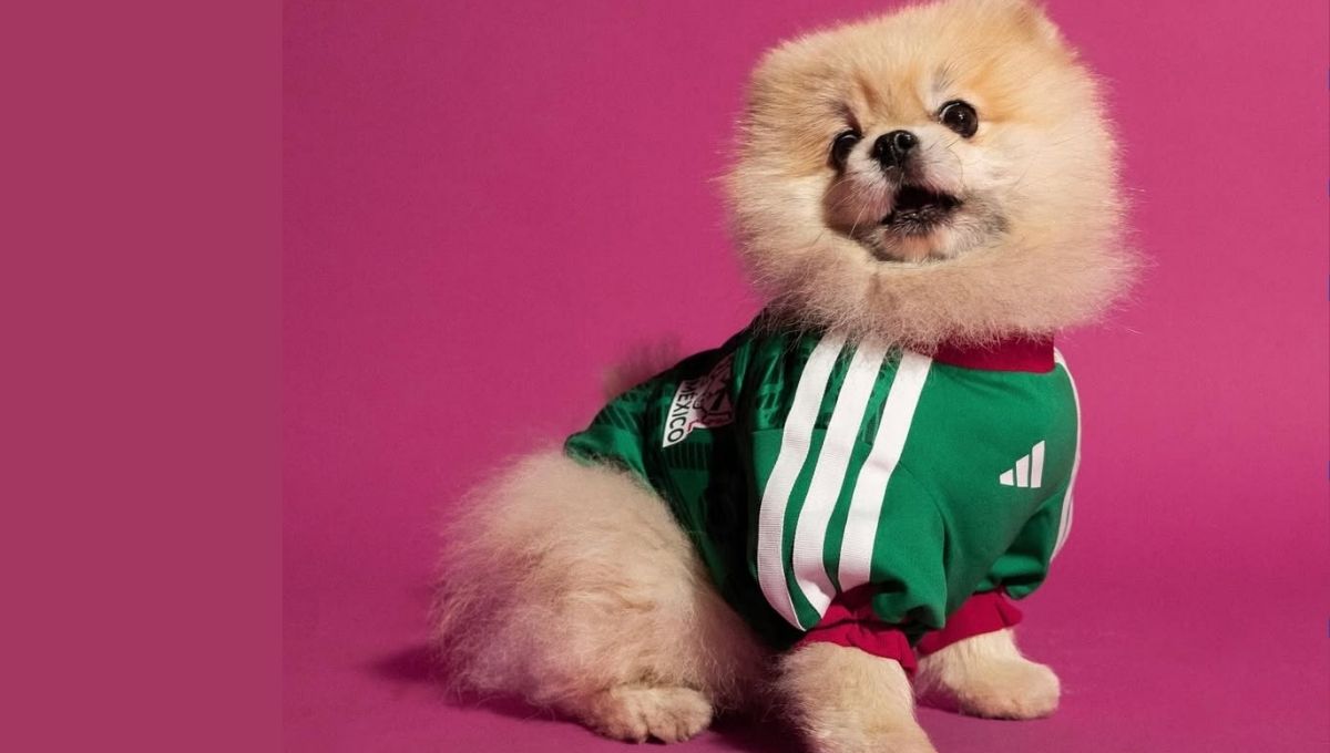 precio y tallas del jersey adidas de mexico para mascotas