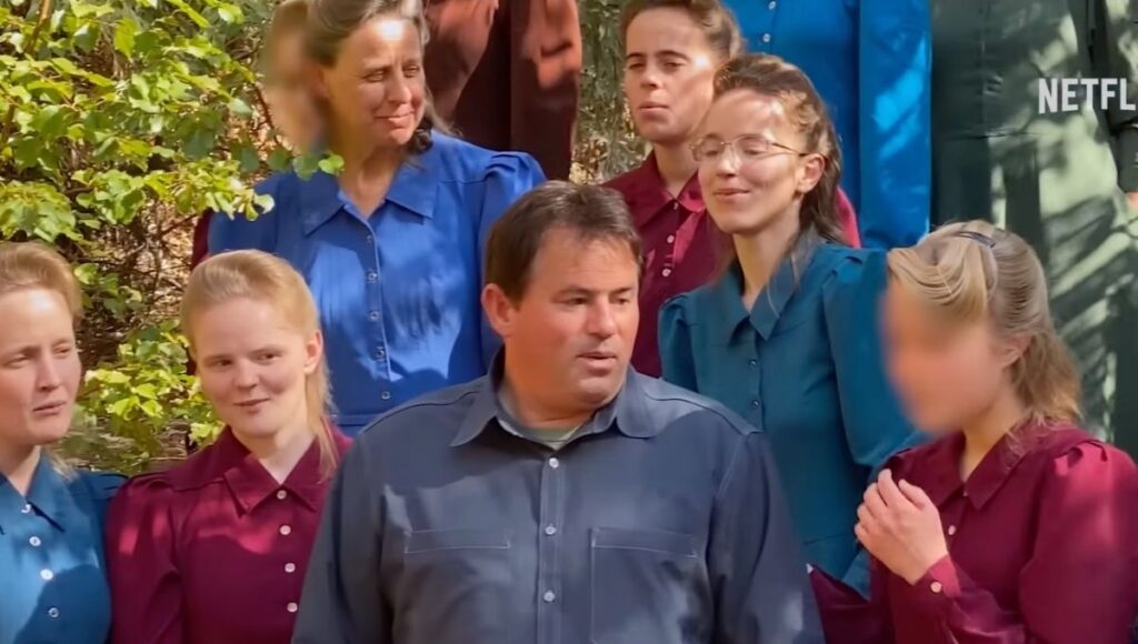 que es la flds netflix