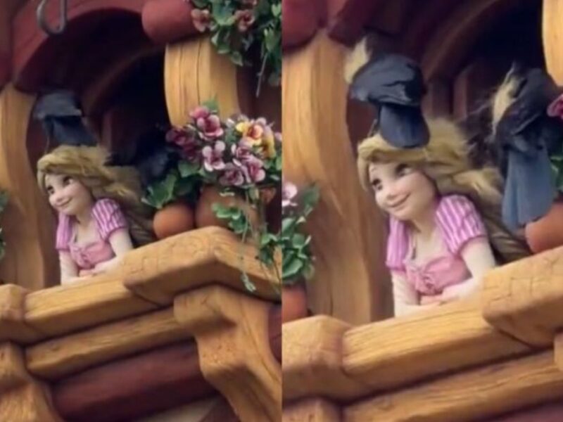 Cuervos atacan a Rapunzel en DisneySea de Tokio