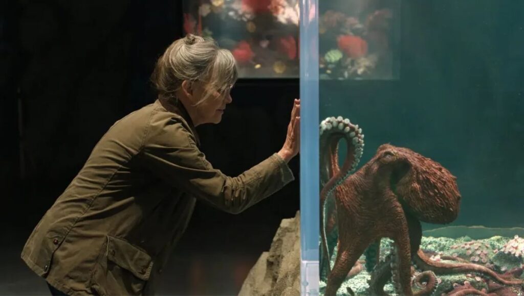 Novela original explicada de Criaturas luminosas película de Netflix
