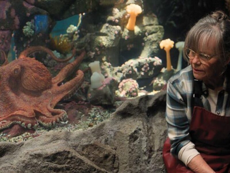 Qué tipo de pulpo es Marcellus en Criaturas Luminosas