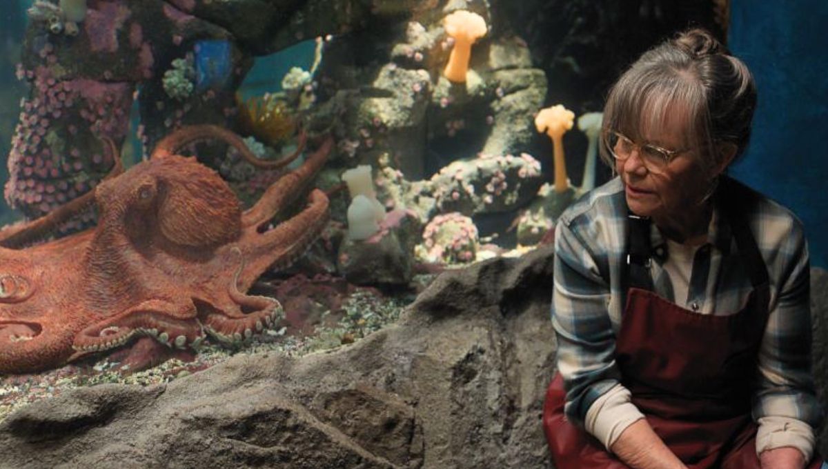 Qué tipo de pulpo es Marcellus en Criaturas Luminosas