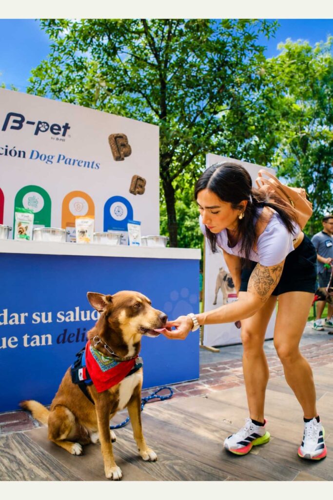 b pet functional treats para perro